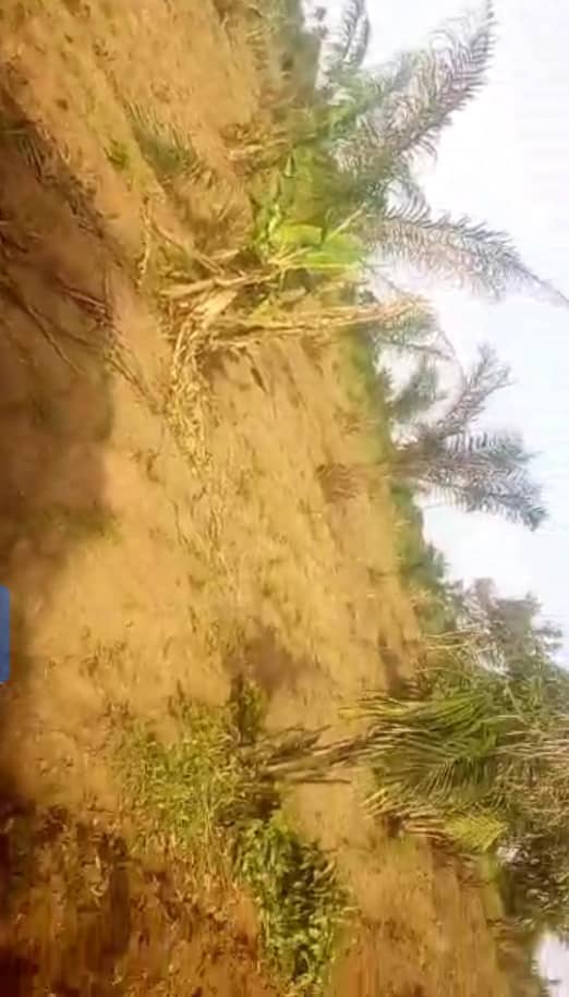 Land for Sale in Ibusa road, Delta cover picture