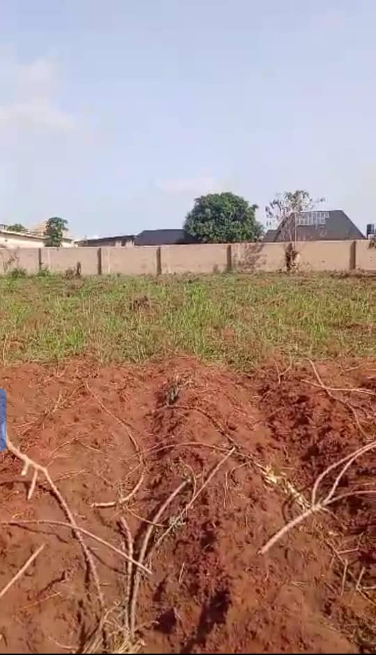 Land for Sale in Okpanam, Delta cover picture