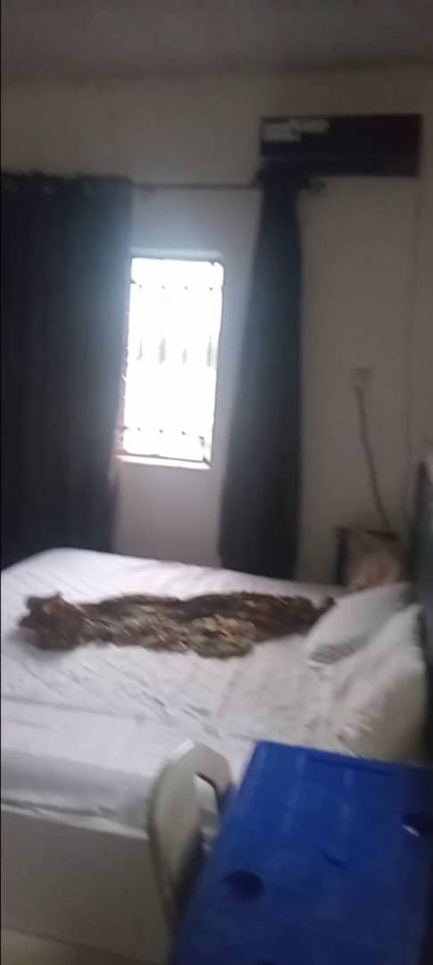 SelfContain for Rent in Infant Jesus, Delta cover picture