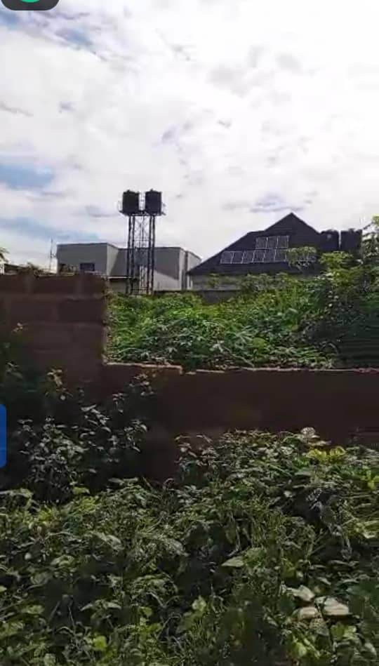 Land for Sale in Okpanam, Delta cover picture