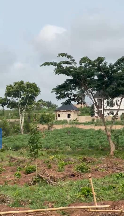 Land for Sale in Okpanam, Delta cover picture