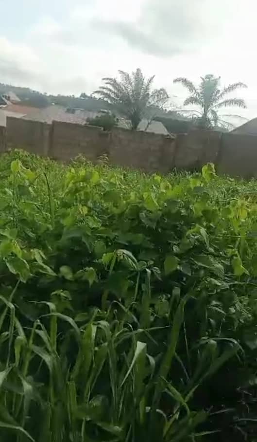 Land for Sale in Akara Bus stop, Delta cover picture