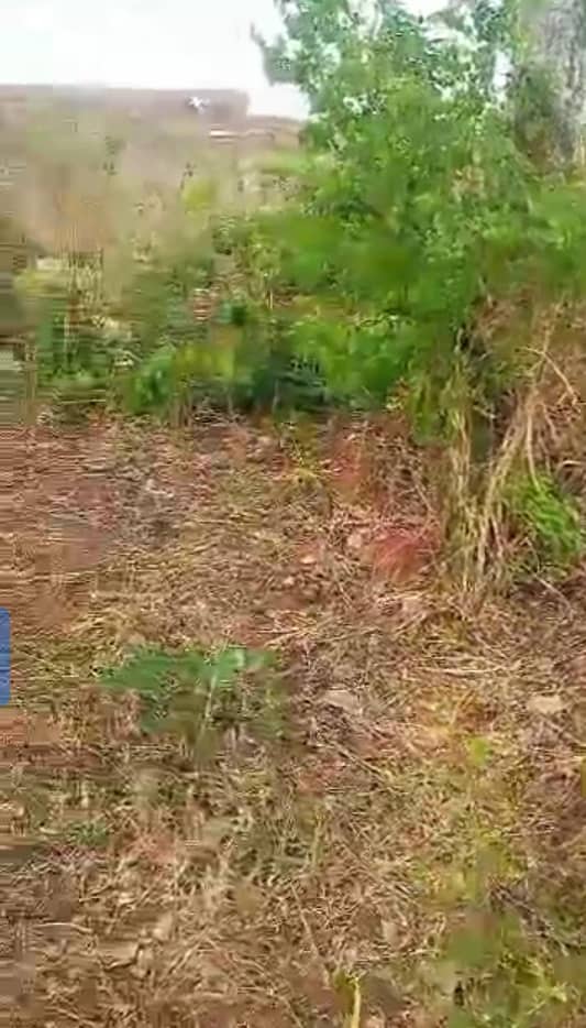 Land for Sale in Issele Azagba, Delta cover picture