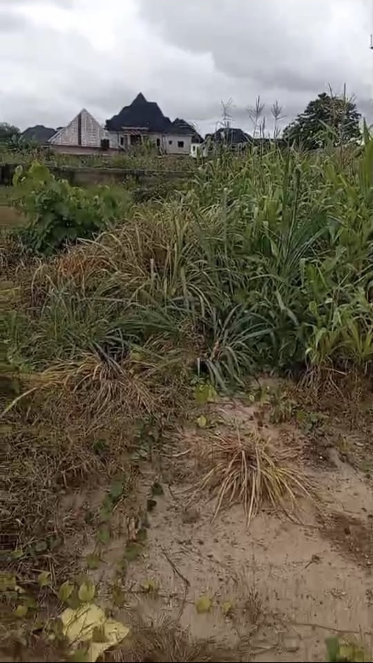 Land for Sale in Asaba, Delta cover picture