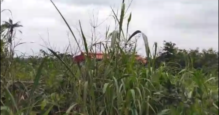 Land for Sale in Asaba, Delta cover picture