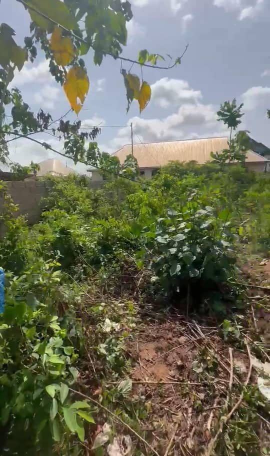 Land for Sale in Okpanam, Delta cover picture