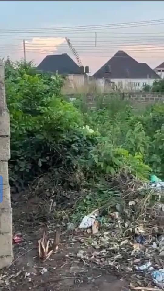 Land for Sale in Ibusa, Delta cover picture