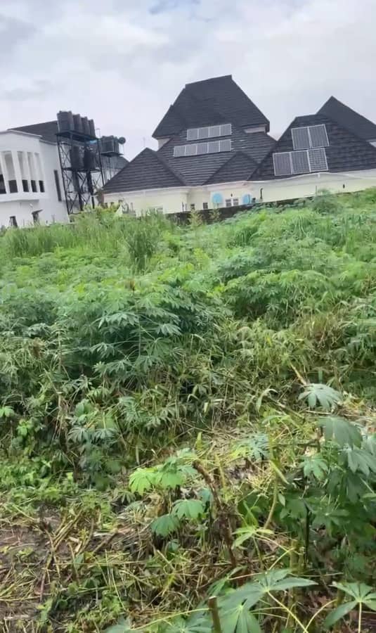 Land for Sale in Asaba, Delta cover picture