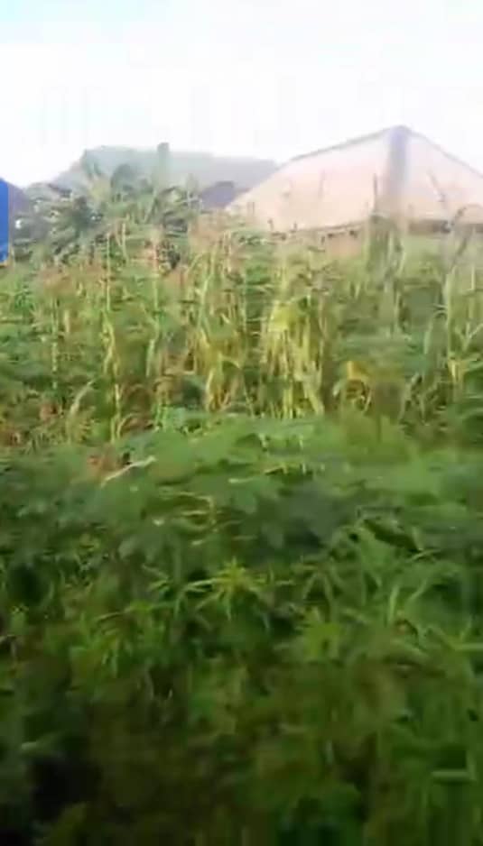 Land for Sale in Asaba, Delta cover picture