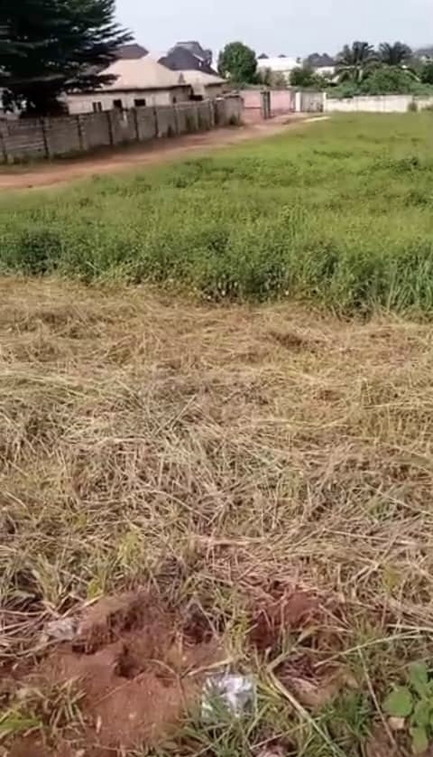 Land for Sale in Okpanam, Delta cover picture