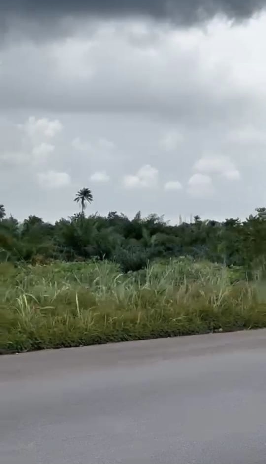 Land for Sale in Ogwashi uku, Delta cover picture