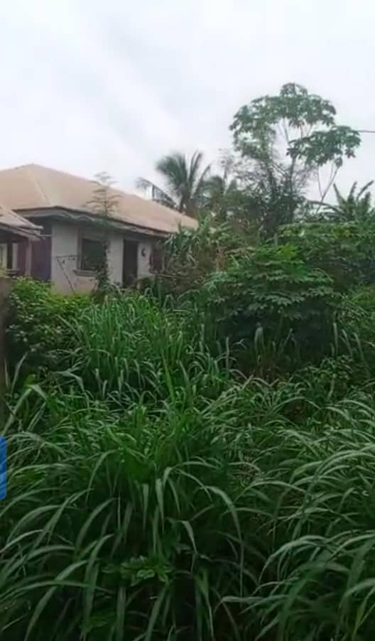 Land in Asaba Delta cover picture