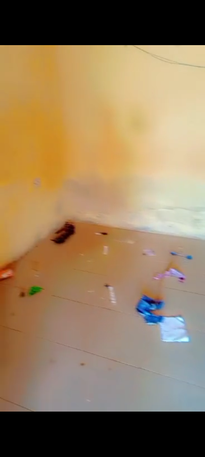 Store for Rent in Okpanam city gate, Delta cover picture