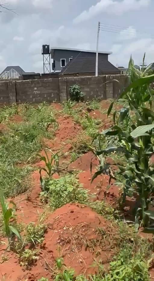 Land for Sale in Asaba, Delta cover picture