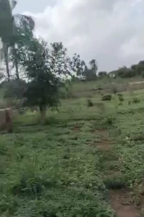 Land for Sale in Asaba, Delta cover picture