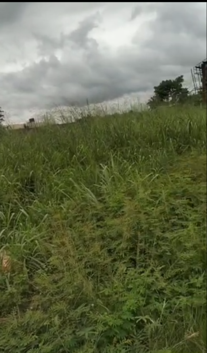 Land for Sale in Asaba, Delta cover picture