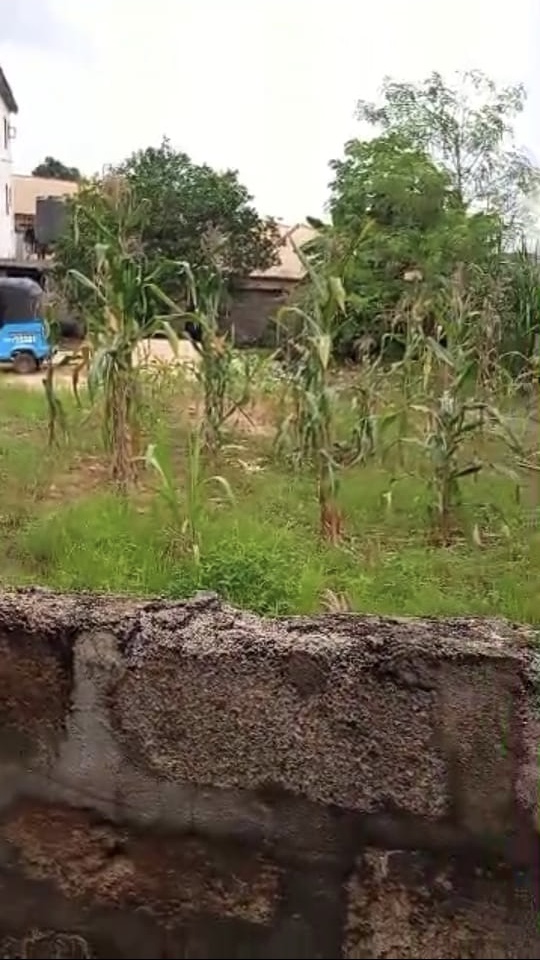 Land for Sale in Asaba, Delta cover picture