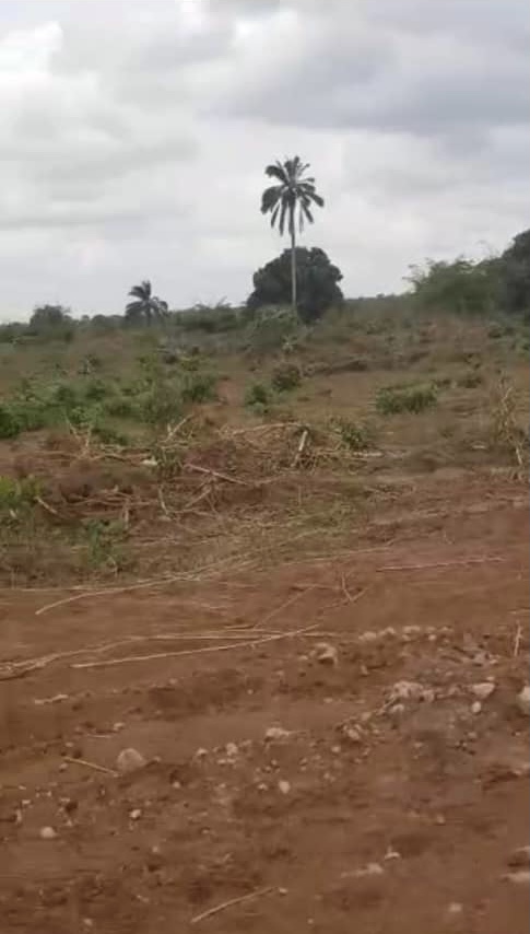 Land for Sale in Otulu, Delta cover picture