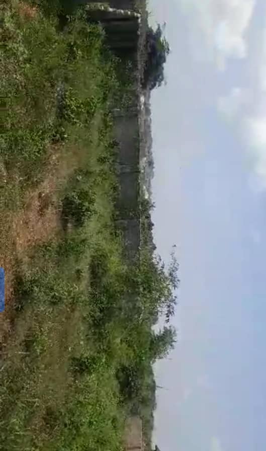 Land for Sale in ULO, Delta cover picture