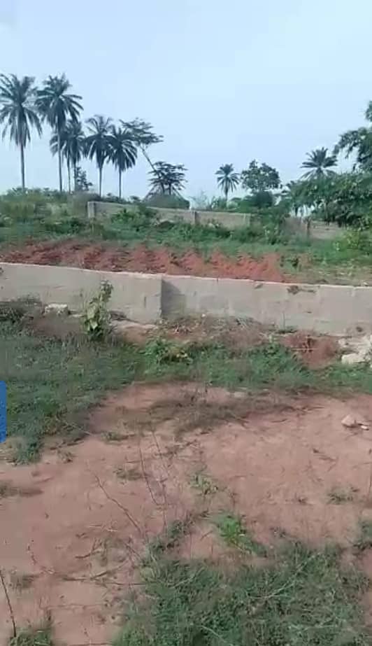 Land in Obinze by Port Harcourt Express Road after Obinze barracks Imo cover picture