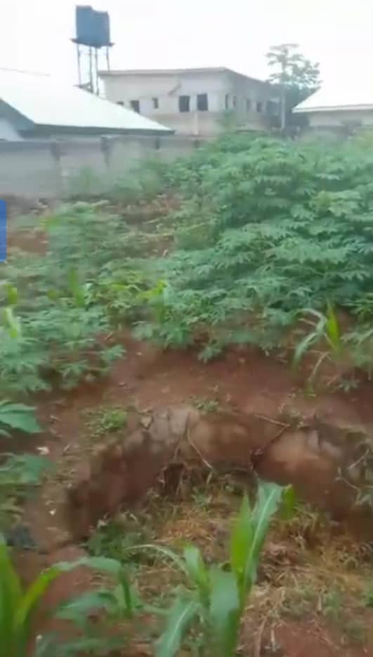 Land for Sale in Asaba, Delta cover picture