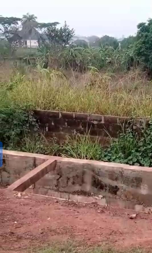 Land for Sale in Okpanam, Delta cover picture