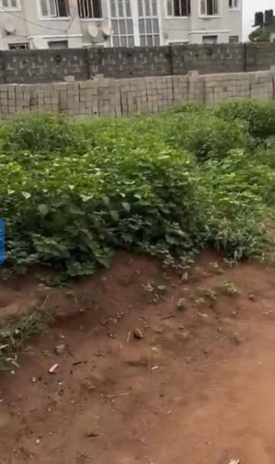 Land for Sale in NTA, Delta cover picture