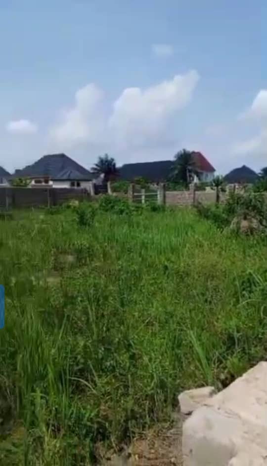 Land for Sale in Ibusa road, Delta cover picture