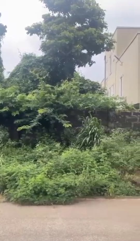 Land for Sale in Asaba, Delta cover picture