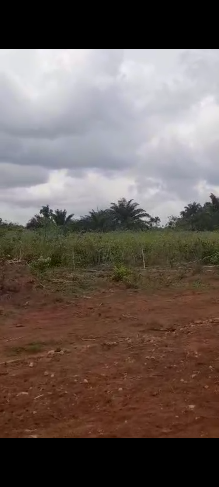 Land for Sale in Ubulu okiti, Delta cover picture