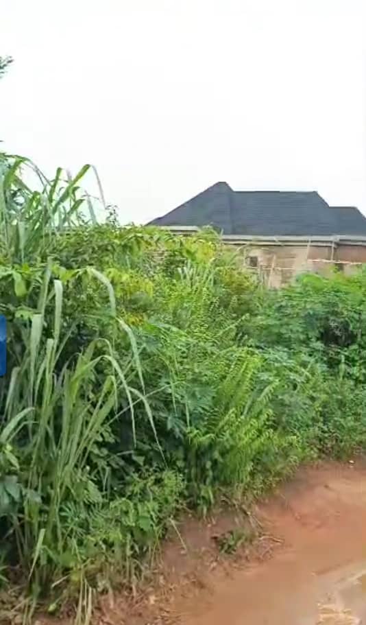 Land for Sale in Asaba, Delta cover picture