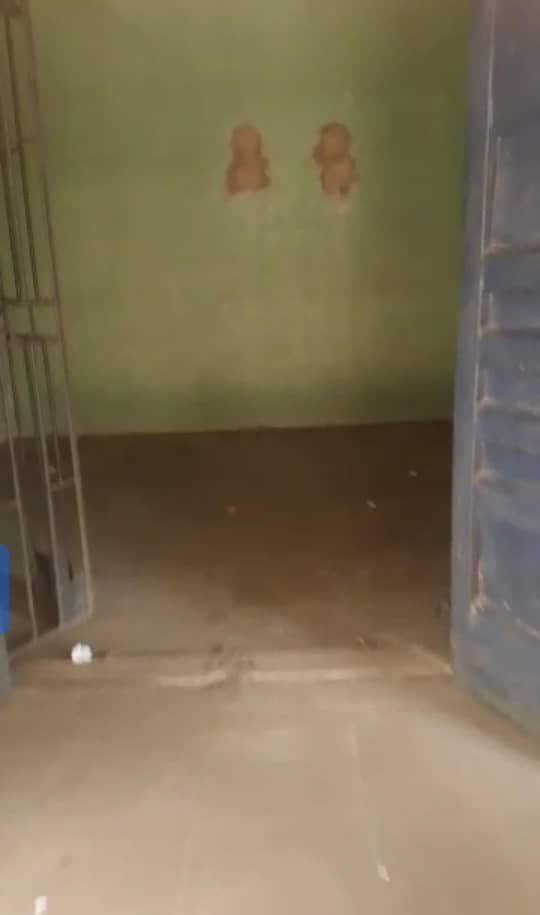 Store in Across Koka Delta cover picture