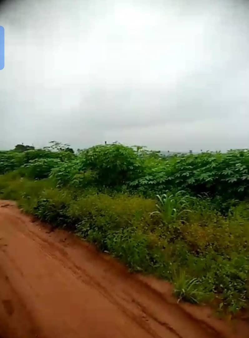 Land for Sale in Asaba, Delta cover picture