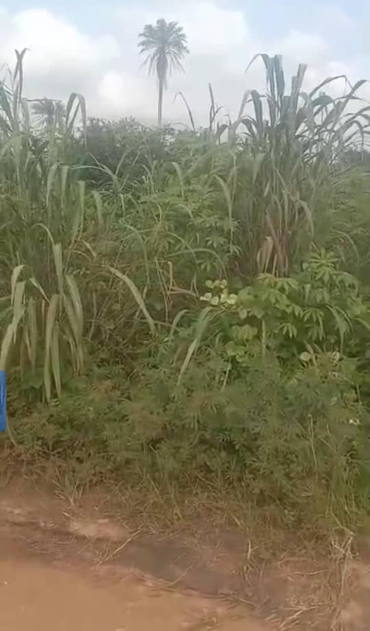Land for Sale in Asaba, Delta cover picture