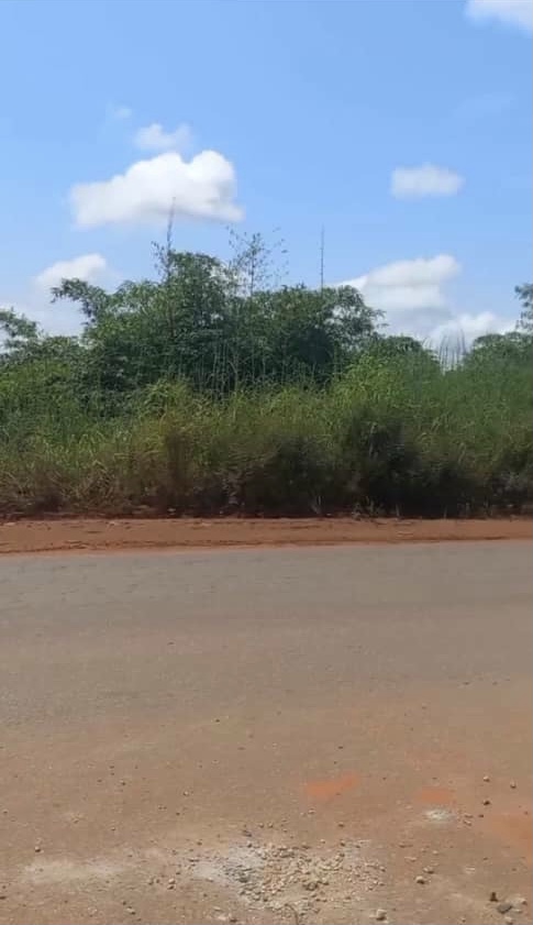 Land for Sale in Otulu, Delta cover picture