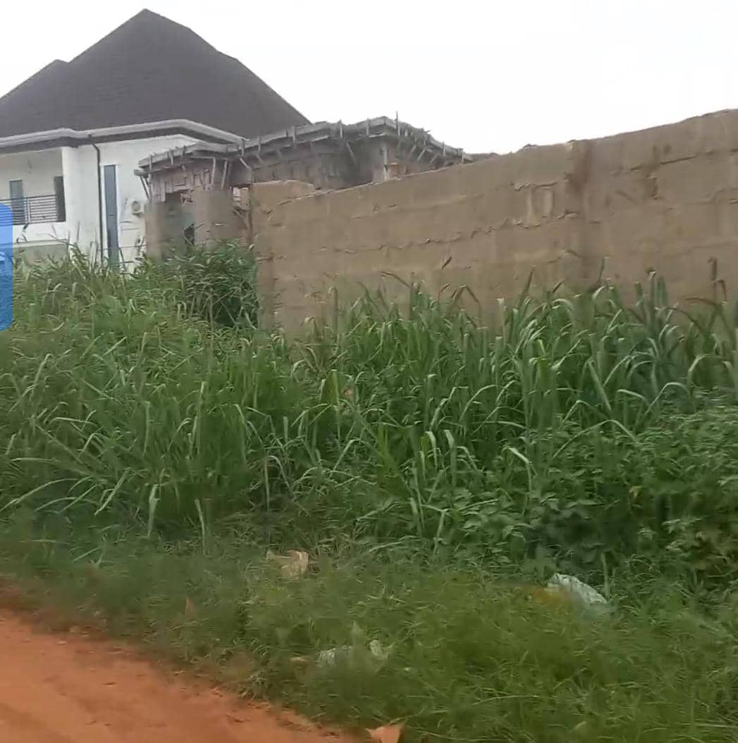 Land for Sale in Okpanam road, Delta cover picture