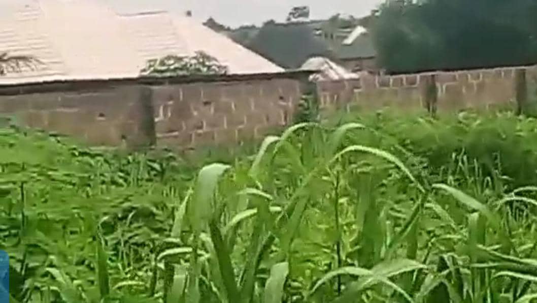 Land in Asaba Delta cover picture
