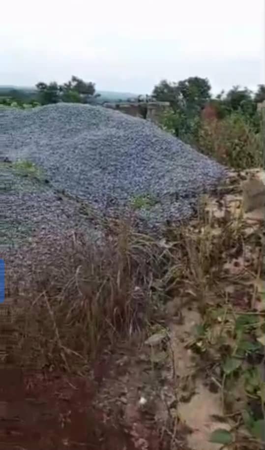 Land for Sale in Okpanam, Delta cover picture