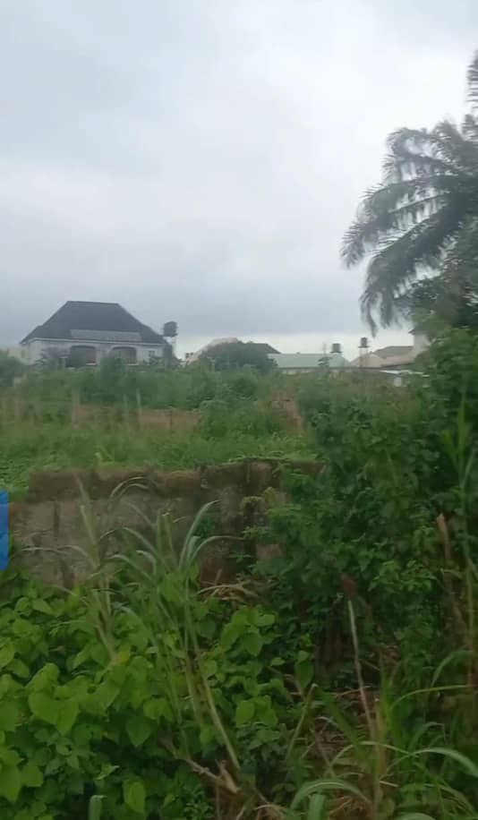 Land for Sale in Back of Anioma market, Delta cover picture