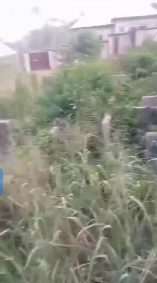 Land for Sale in 74, Delta cover picture