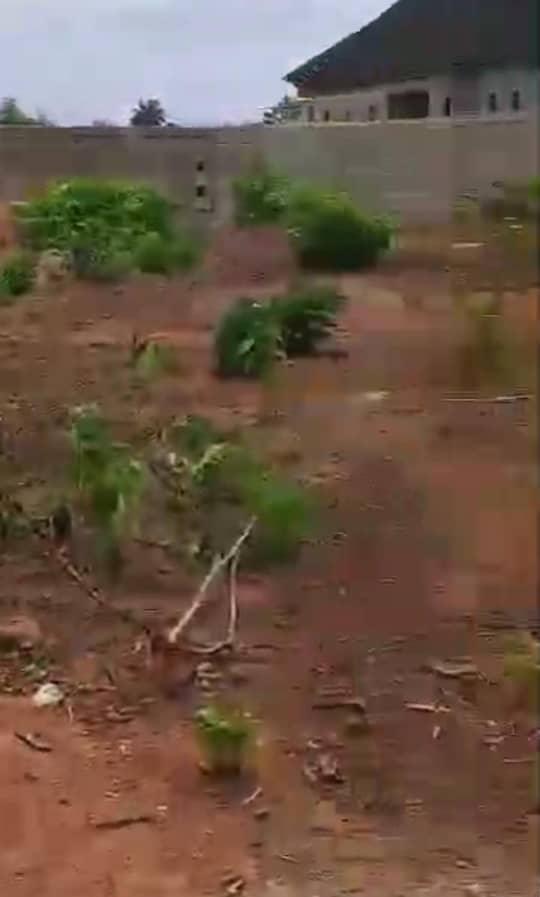 Land for Sale in Asaba, Delta cover picture