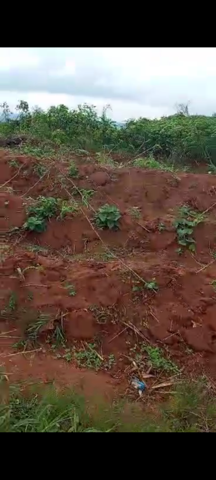 Land for Sale in Asaba, Delta cover picture