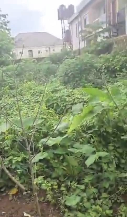 Land for Sale in Asaba, Delta cover picture