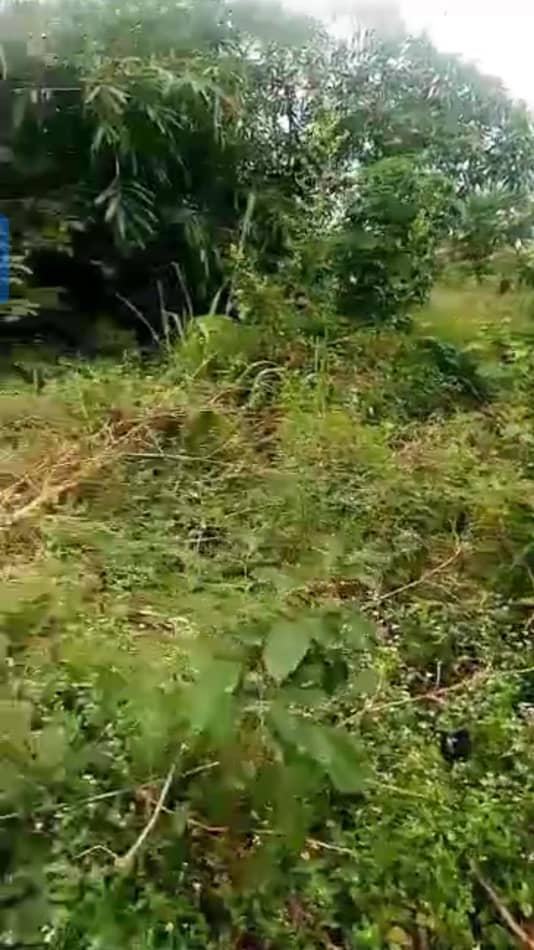 Land for Sale in Asaba, Delta cover picture