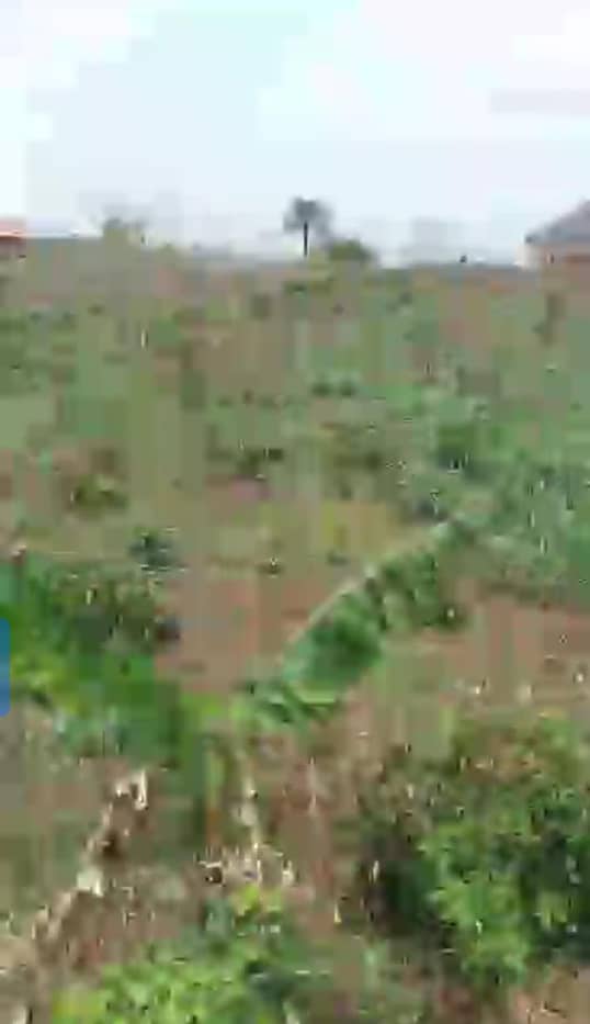 Land for Sale in Okpanam Road, Delta cover picture