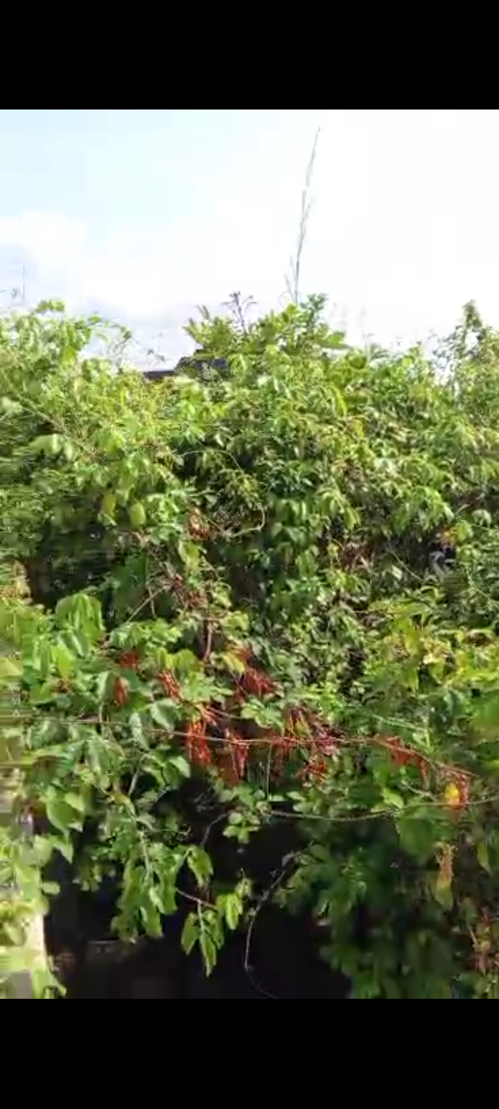 Land for Sale in Asaba, Delta cover picture