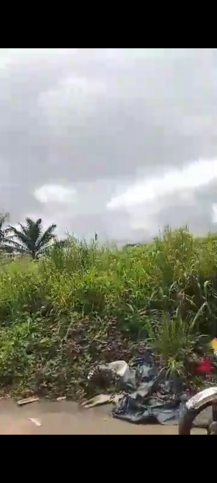 Land for Sale in Ibusa, Delta cover picture