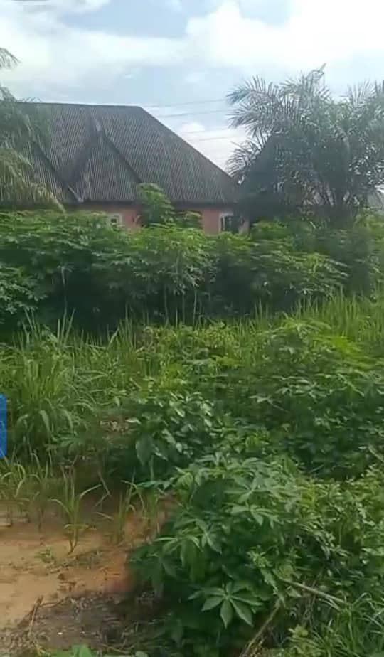 Land for Sale in Ibusa, Delta cover picture