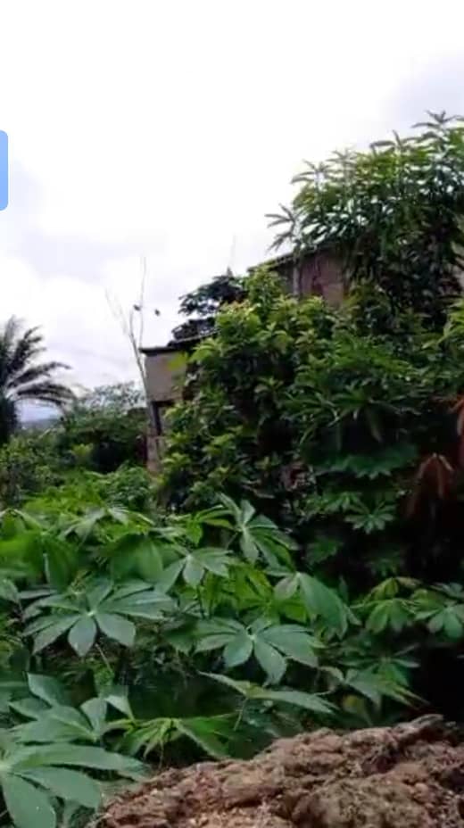 Land for Sale in Asaba, Delta cover picture