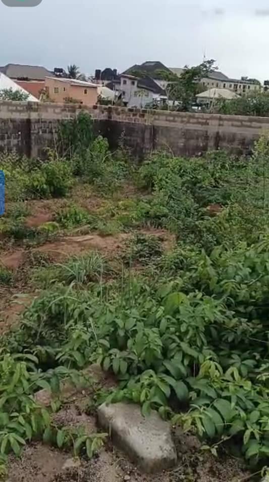 Land for Sale in Asaba, Delta cover picture